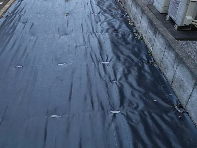 【損害保険加入済みで安心◎】プロの技術で納得の仕上がり！ご要望にお応えします。サービスの画像