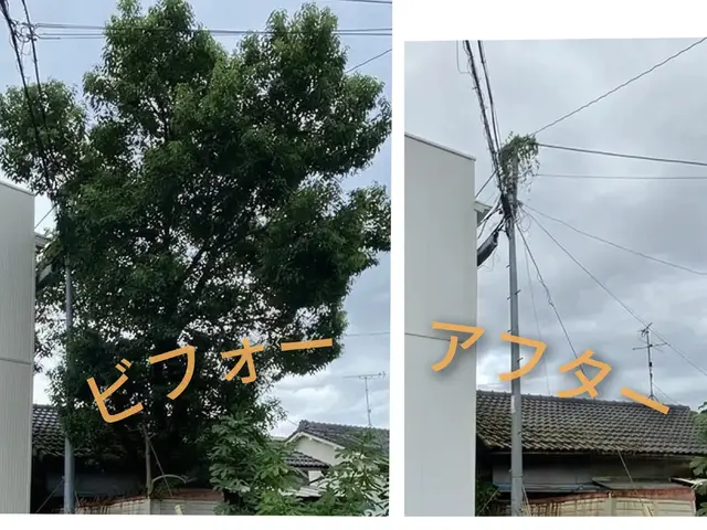 庭木・裏山・畑などの伐採は木こりの与作へサービスの画像