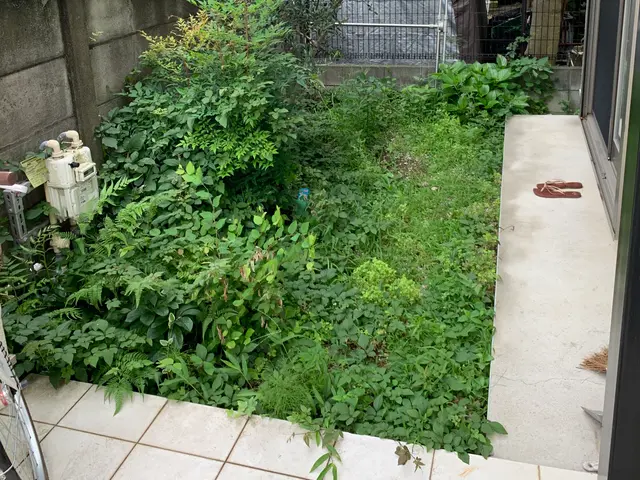 【創業35年】面倒な草むしり草刈りお任せ下さい！腕にはかなり自信があります！！サービスの画像