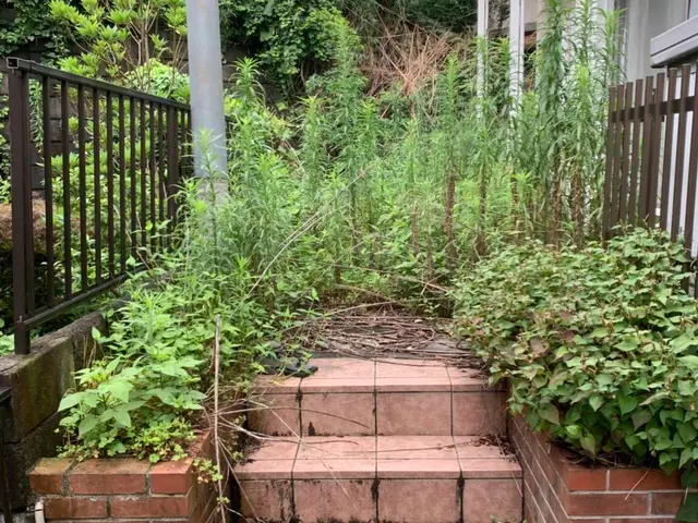 【創業35年】面倒な草むしり草刈りお任せ下さい！腕にはかなり自信があります！！サービスの画像