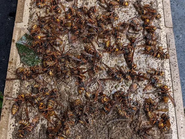 プロの技術でご満足いただけるように心を込めて作業いたしますサービスの画像