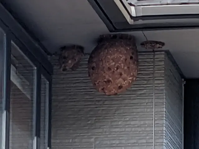 プロの技術でご満足いただけるように心を込めて作業いたしますサービスの画像