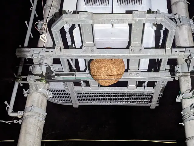 プロの技術でご満足いただけるように心を込めて作業いたしますサービスの画像