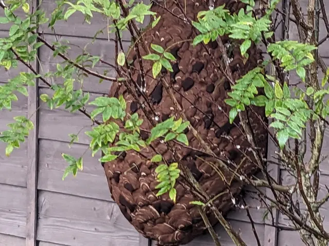 プロの技術でご満足いただけるように心を込めて作業いたしますサービスの画像