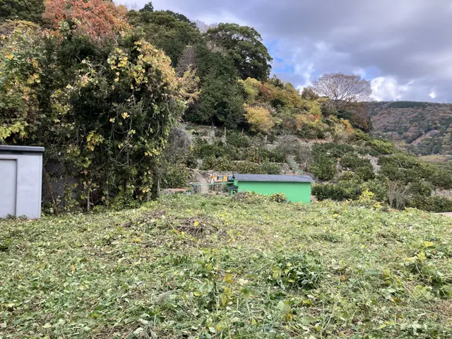 神奈川西部〜静岡伊豆　雑草スッキリ！ 草刈り代行・手伝いサービスの画像
