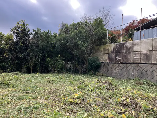 神奈川西部〜静岡伊豆　雑草スッキリ！ 草刈り代行・手伝いサービスの画像