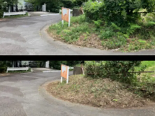 神奈川西部〜静岡伊豆　草刈りの手伝い・代行サービスの画像