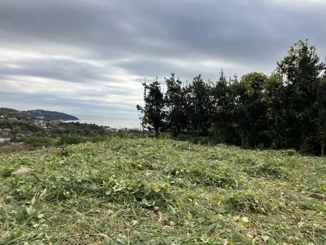 神奈川西部〜静岡伊豆　雑草スッキリ！ 草刈り代行・手伝いサービスの画像