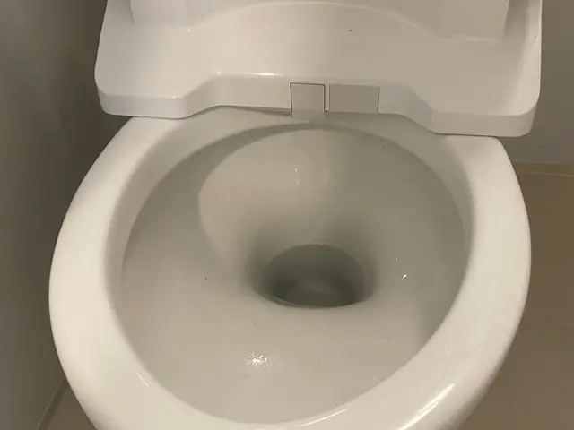 ハウスクリーニング士が伺います◎豊富な経験と知識で安心！！サービスの画像