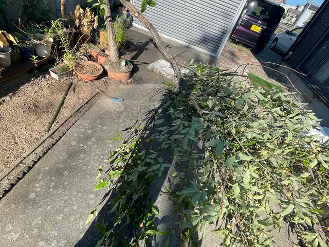 人柄重視！丁寧な打ち合わせとお客様に寄り添う作業で安心のサービス！サービスの画像