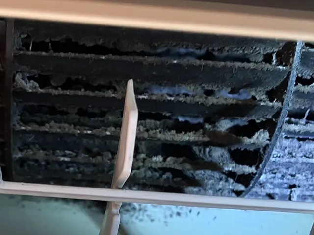 仙台市子育て奮闘パパ☆育児目線や子供目線からしっかりとお掃除致します。サービスの画像