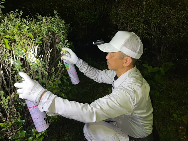 八王子発！　☆即日対応可能！☆  お問い合わせ下さい！　★PayPay可！★サービスの画像