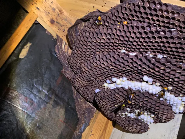 八王子発！　☆即日対応可能！☆  お問い合わせ下さい！　★PayPay可！★サービスの画像