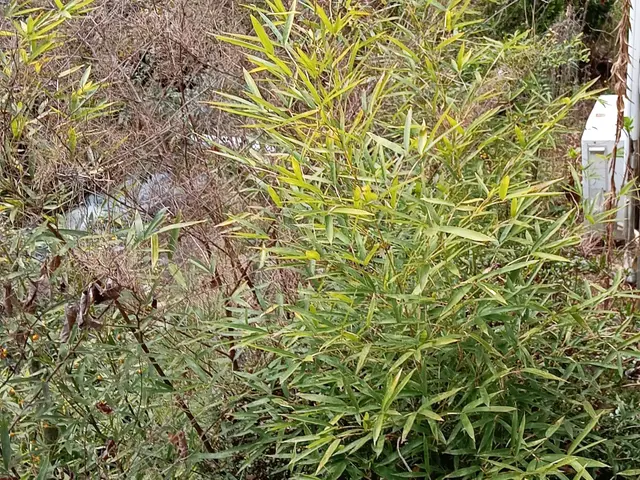 ◎年中無休◎自社スタッフがお伺いします◎営業時間外も対応可能サービスの画像