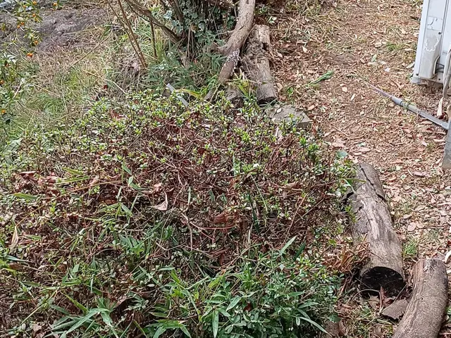 ◎年中無休◎自社スタッフがお伺いします◎営業時間外も対応可能サービスの画像