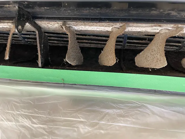 【損害保険加入済みで安心◎】2度の高圧洗浄でしっかり汚れを落としますサービスの画像