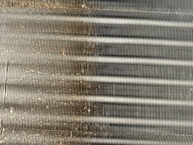 【損害保険加入済みで安心◎】現在抗菌コート無料サービスしておりますサービスの画像