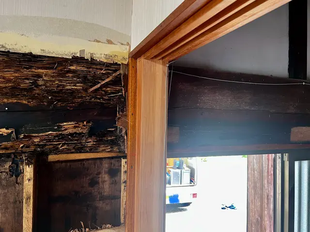 「業界歴20年実績でシロアリ駆除！自社スタッフの確かな技術でお宅を守ります」サービスの画像