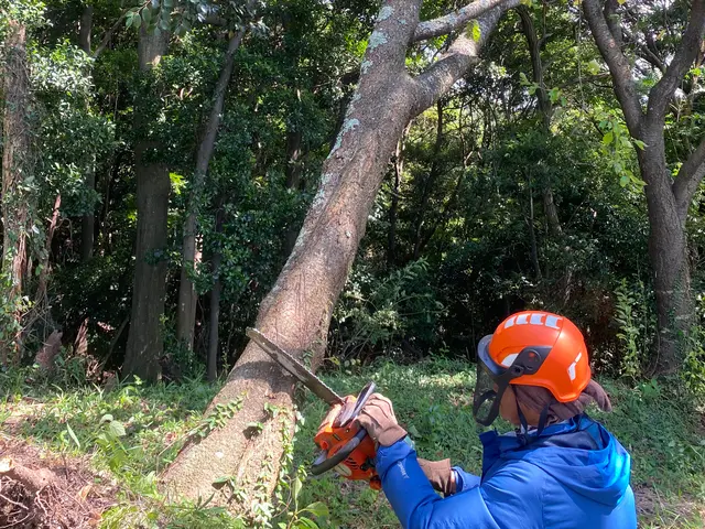 安心の損害保険加入済み◎100％自社対応◎営業時間外もご相談ください！サービスの画像