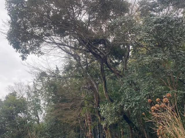 安心の損害保険加入済み◎100％自社対応◎営業時間外もご相談ください！サービスの画像