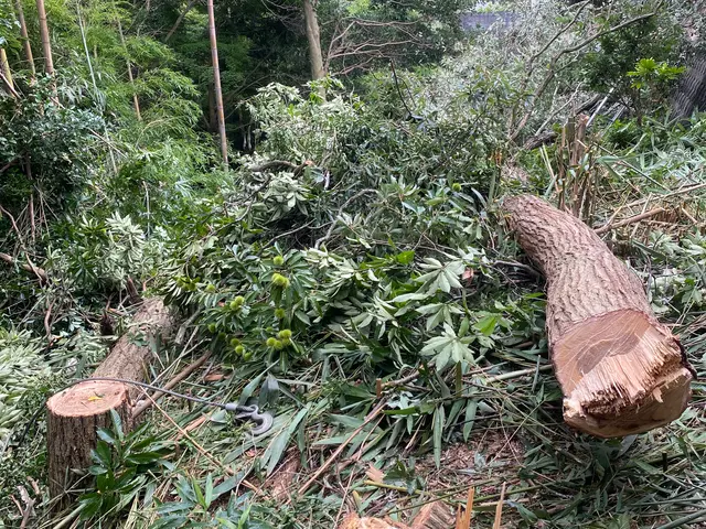 安心の損害保険加入済み◎100％自社対応◎営業時間外もご相談ください！サービスの画像