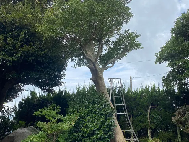 安心の損害保険加入済み◎100％自社対応◎営業時間外もご相談ください！サービスの画像