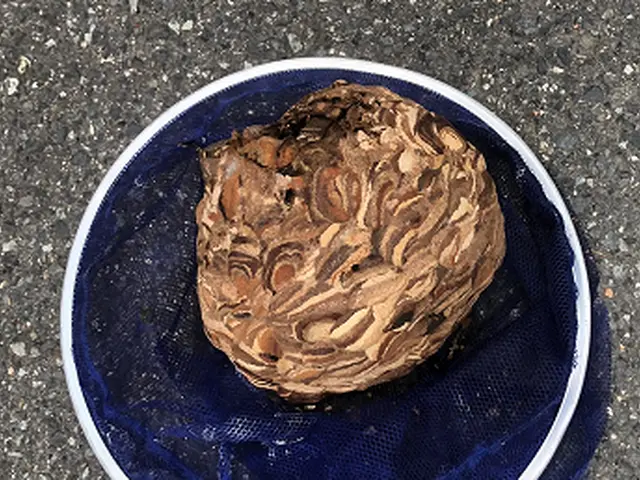 【業歴12年の経験と実績】駐車場代金は弊社負担!!年中無休・クレカも対応OKサービスの画像