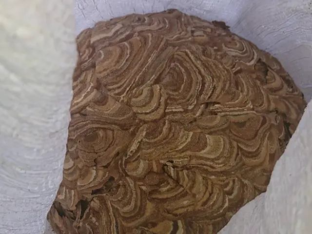 【業歴12年の経験と実績】駐車場代金は弊社負担!!年中無休・クレカも対応OKサービスの画像