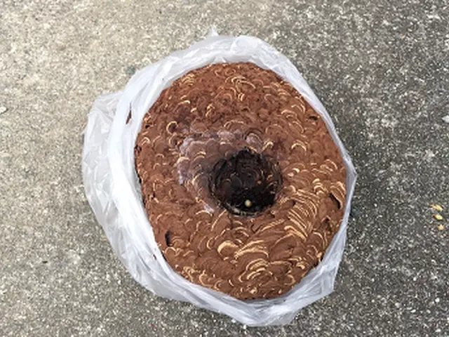 【業歴12年の経験と実績】駐車場代金は弊社負担!!年中無休・クレカも対応OKサービスの画像