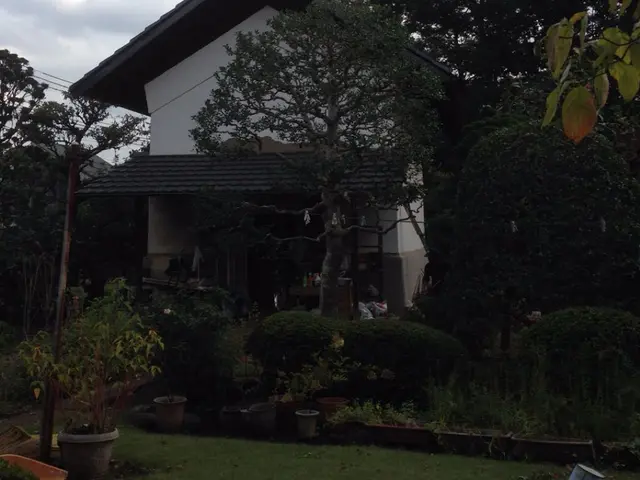 ◇庭木の剪定◇職人が作業終了まで丁寧に対応します！サービスの画像