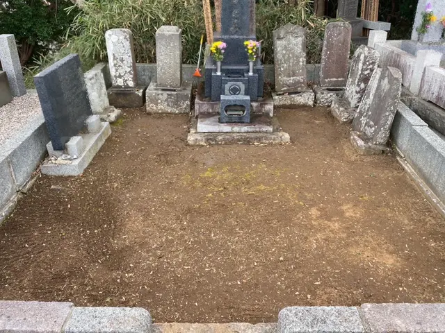 ◇11月末まで通常13,000円⇨11,000円◇元介護福祉士（15年）が代行◇サービスの画像