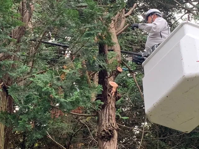 プロの技術でご満足いただけるように心を込めて作業いたしますサービスの画像