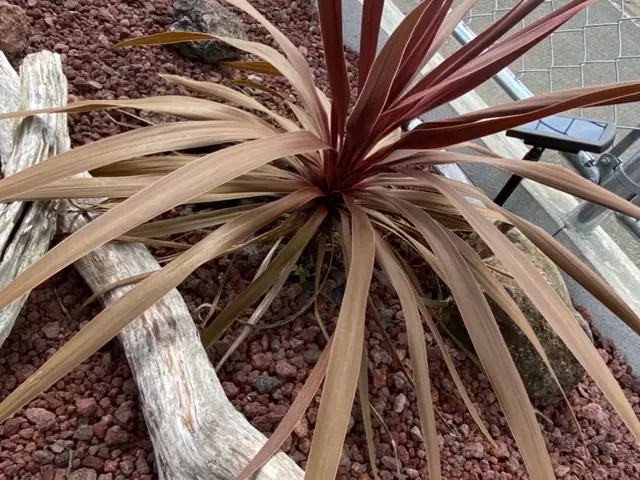 コンセプトに合わせた砂利選びの提案、施工まで一貫して自社対応サービスの画像