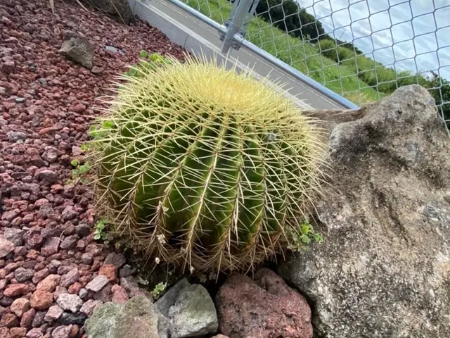 コンセプトに合わせた砂利選びの提案、施工まで一貫して自社対応サービスの画像