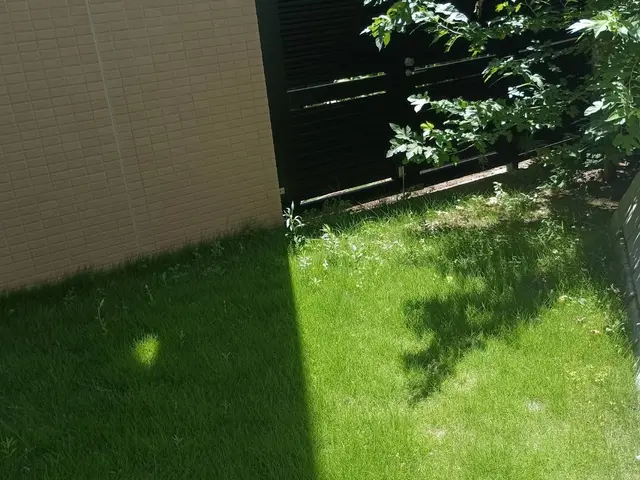 プロの技術でご満足いただけるように心を込めて作業いたしますサービスの画像