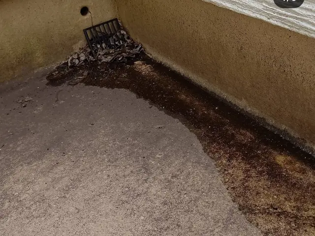 お客様のお力になります！経験と知識を活かして迅速丁寧に作業いたします！サービスの画像