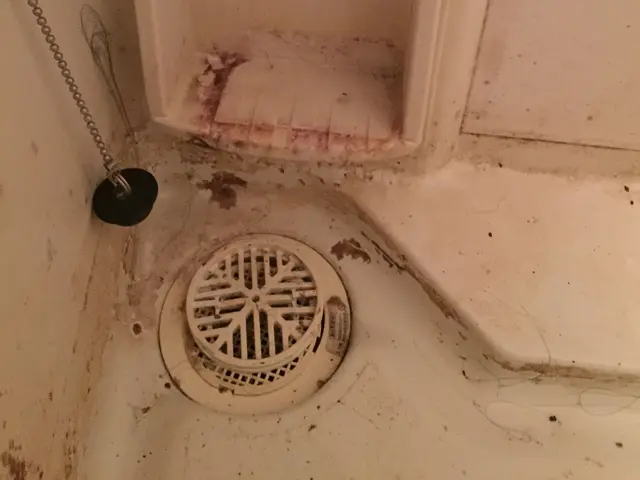 お得◎浴槽内消毒洗浄無料!追い焚き配管洗浄対応可!!サービスの画像