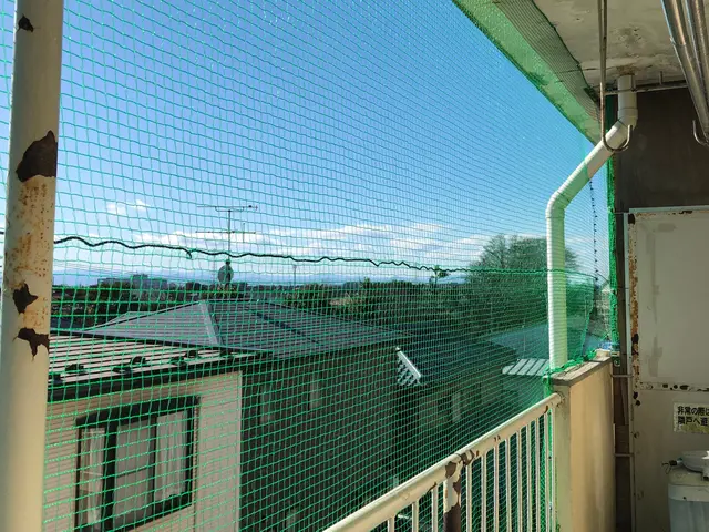 【年中無休で駆けつけます！】丁寧・迅速◎鳩飛来防止作業サービスの画像