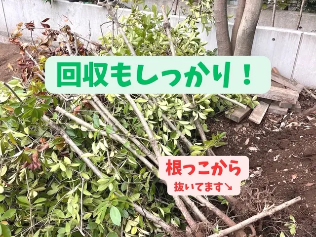 安全・迅速！伐採抜根掃除まで確実に綺麗に！サービスの画像