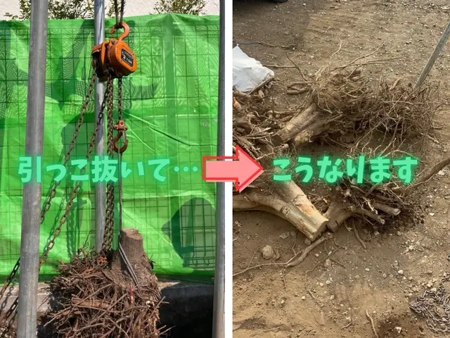 安全・迅速！伐採抜根掃除まで確実に綺麗に！サービスの画像