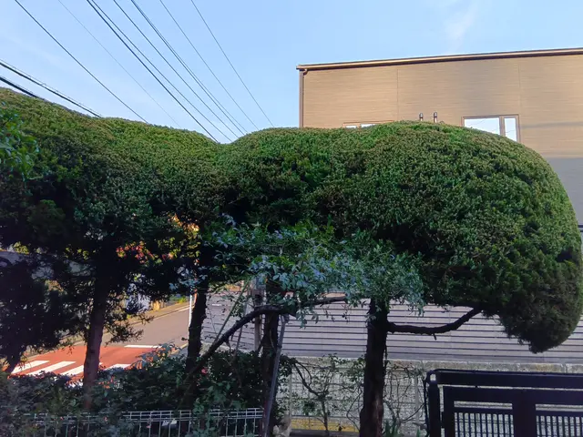 作業外注一切なし◎損害保険に加入済み◎豊富な経験と知識で安心！サービスの画像