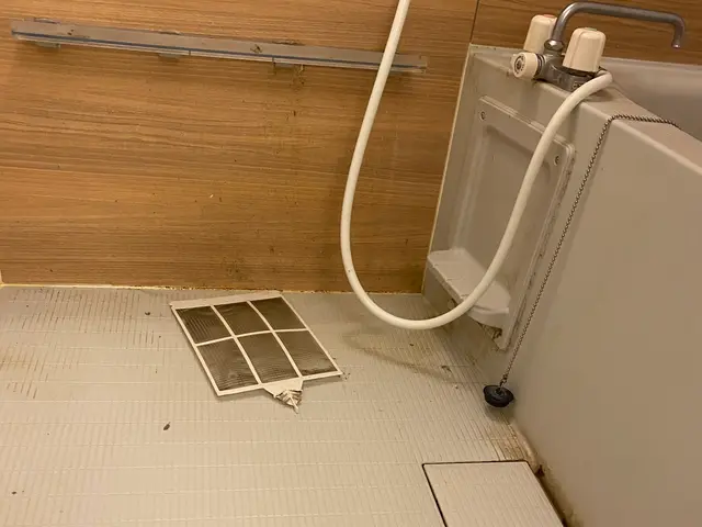 レビュー投稿してくれる方限定★通常価格14000円→12000円でのご案内！サービスの画像