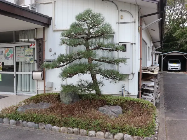 12年の実績と信頼！緑を活かし豊かな暮らしを実現していきます！サービスの画像