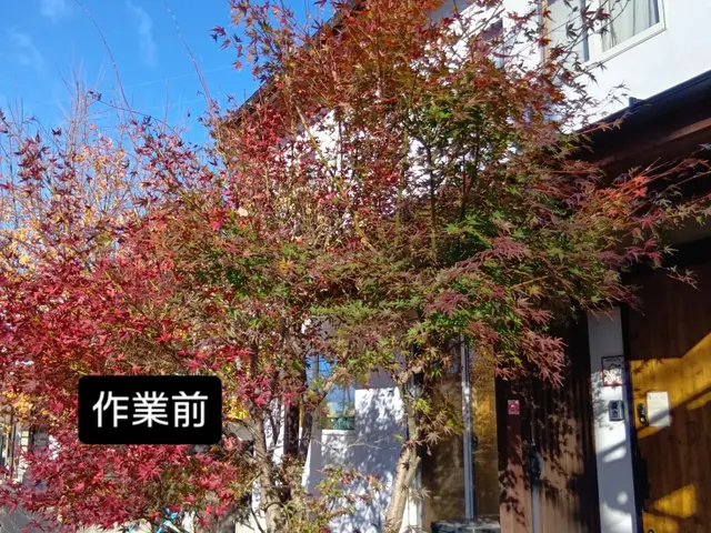 12年の実績と信頼！緑を活かし豊かな暮らしを実現していきます！サービスの画像