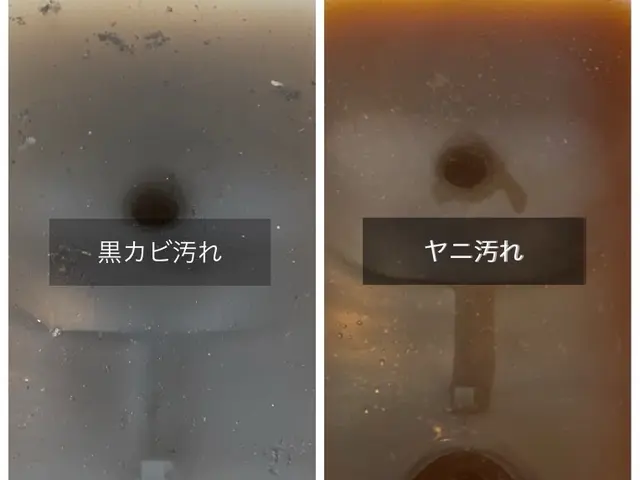 【新規出店】（特別価格で提供中）自宅で簡単に出来るプロの技術を全てお教えします！サービスの画像