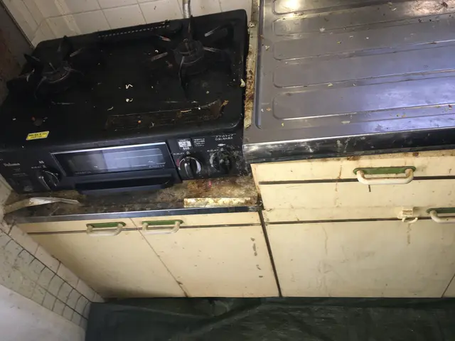 水回りクリーニング/2点セット(キッチン＋換気扇)サービスの画像