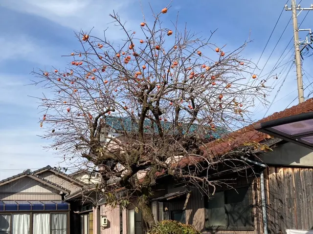 豊富な経験と知識で安心！仕上がり重視で丁寧に作業いたします！サービスの画像