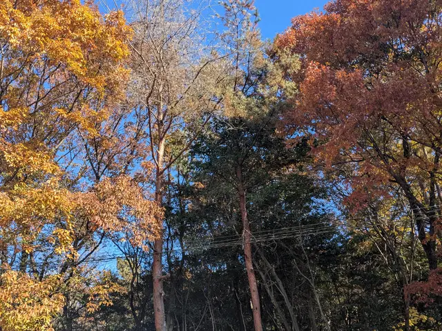 豊富な経験と知識で安心！仕上がり重視で丁寧に作業いたします！サービスの画像