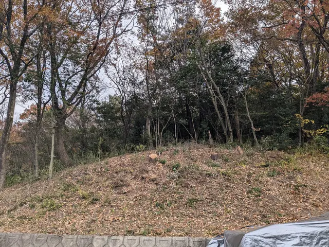 豊富な経験と知識で安心！仕上がり重視で丁寧に作業いたします！サービスの画像