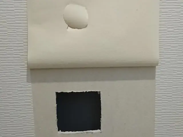 クロスの穴補修お任せください！サービスの画像